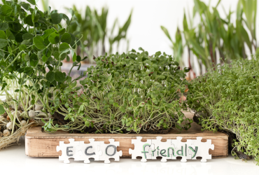 Screenshot 2025-12-15 091850